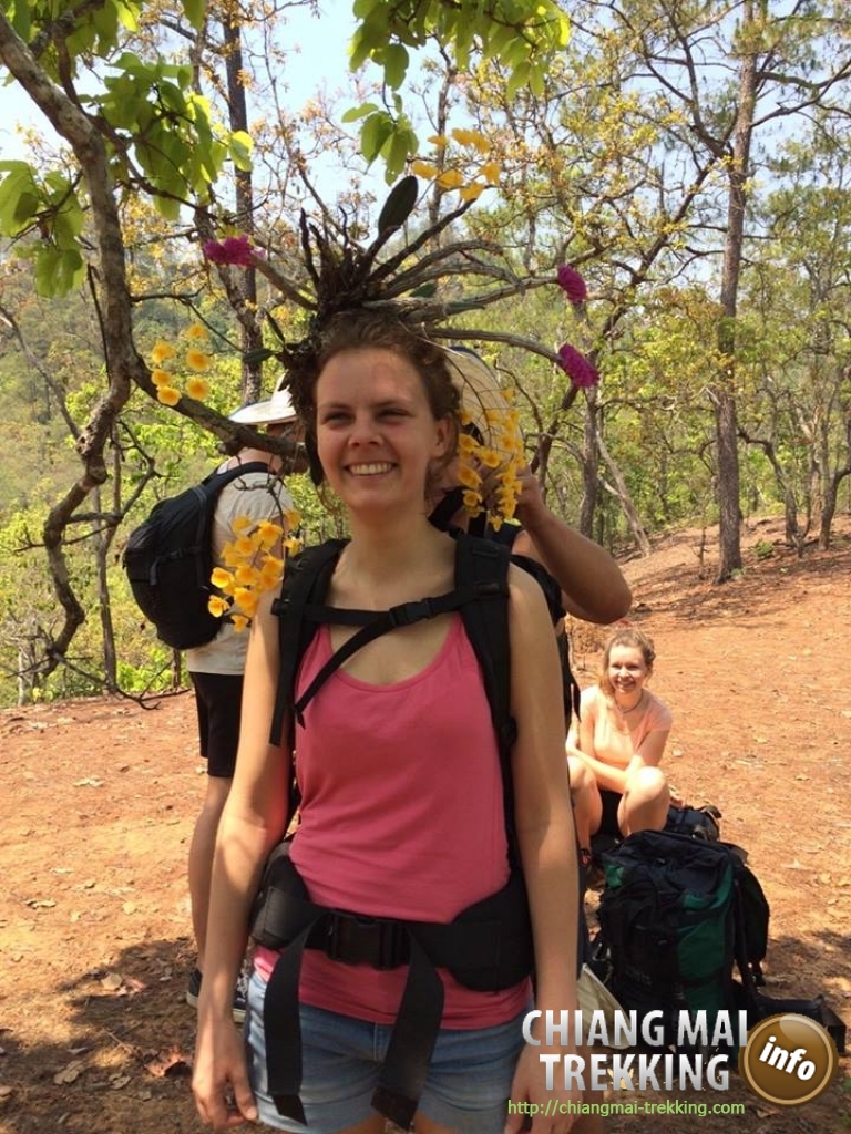 Wonderful 3-days/2-nights trekking | Chiang Mai Trekking | Le meilleur trekking &agrave; Chiang Mai avec Piroon Nantaya